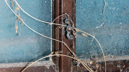 alter Beschlag zugewuchert